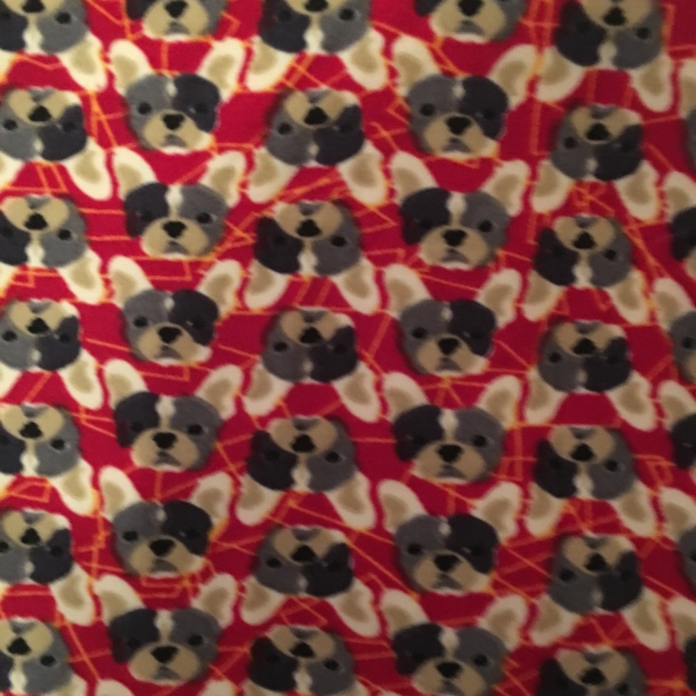 Lularoe French bulldog leggings TC never worn